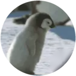 Profile picture of some rando mimi, Sonar community manager